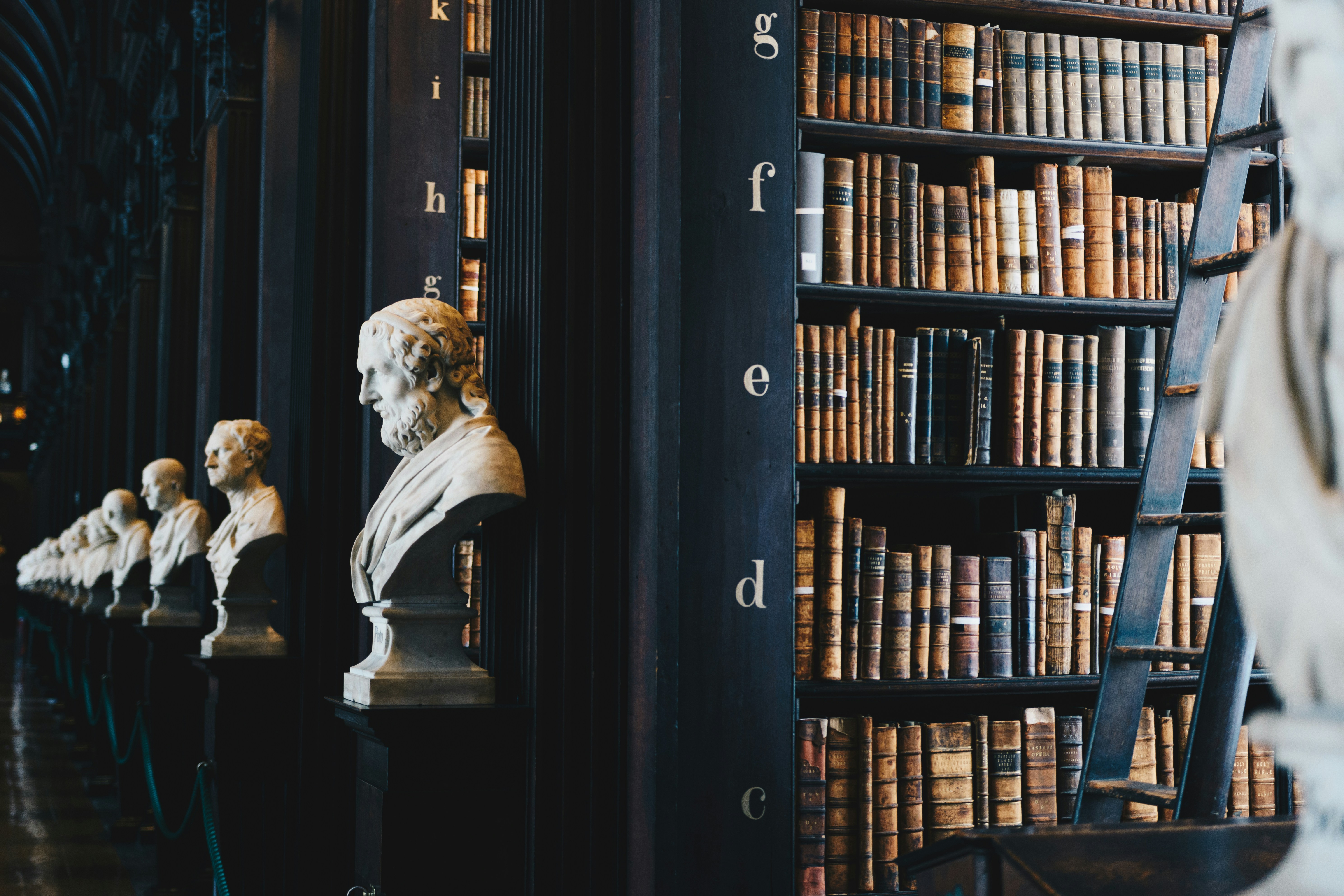 Biblioteca con bustos clásicos